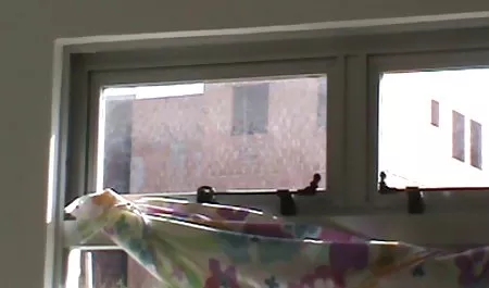 جیزل 74 یو بیدمشک گربه شیرین خود بهترین داستان شهوانی را