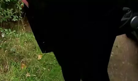 وب کم لاتین 301 داستان شهوانی حشری