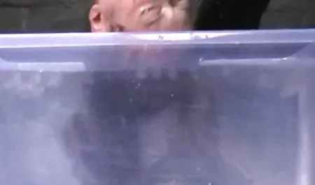 دیک سیاه الاغ سفید را در زیرزمین مته می داستانهاي شهواني 18 کند